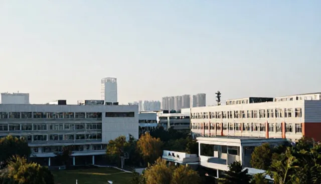 黄页选择要点解析:如何根据性能与适用条件进行决策